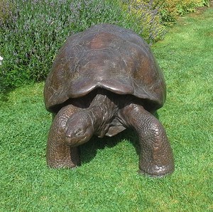 Bronze Life-Size Galapagos Tortoise II Sculpture
